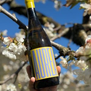 ÀUREA – Vino blanco (Macabeo)